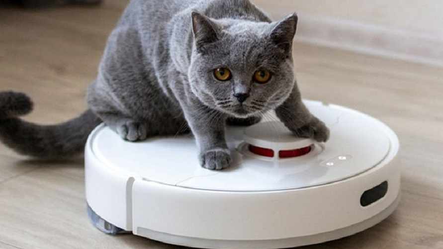 Фото иллюстрационное