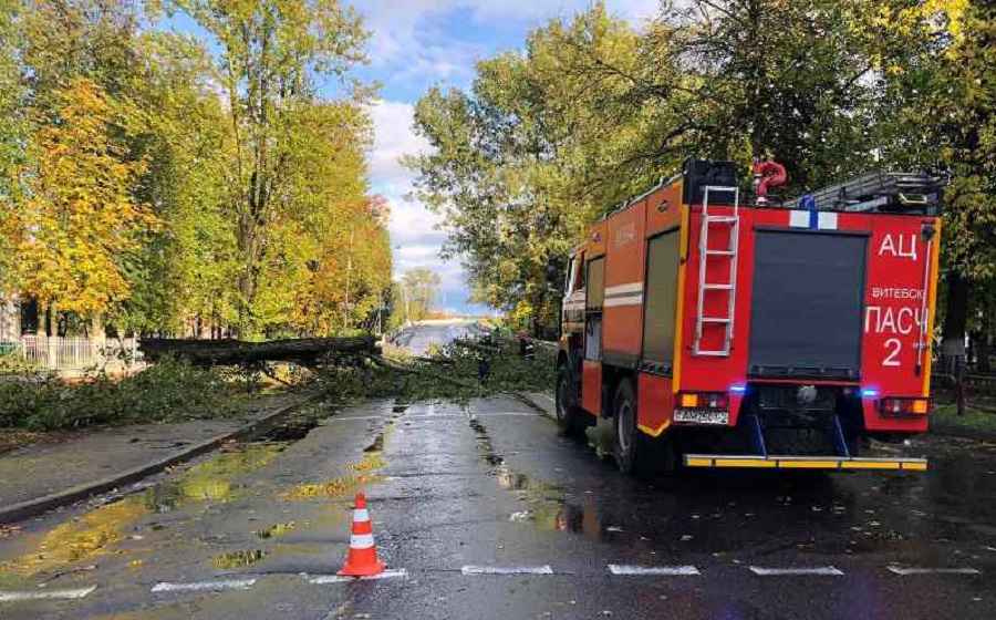 Фото иллюстрационное: МЧС РБ