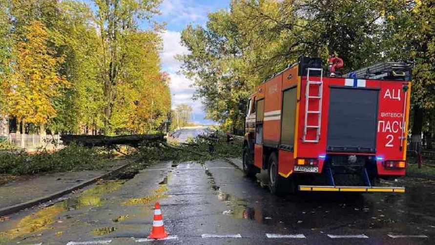 Фото иллюстрационное: МЧС РБ