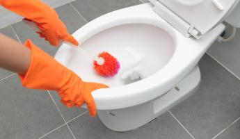 Замените туалетный гель… стиральным порошком. Сколько нужно на одну очистку унитаза?