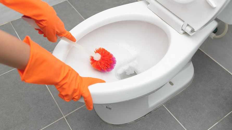 Woman is cleaning in the bathroom. Wash the toilet and toilet brush.