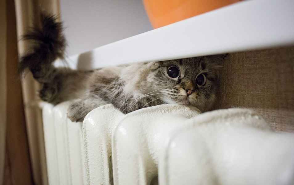 Это нужно сделать всем белорусам перед включением отопления. Как поможет сэкономить?