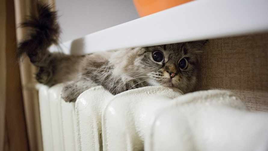 Это нужно сделать всем белорусам перед включением отопления. Как поможет сэкономить?