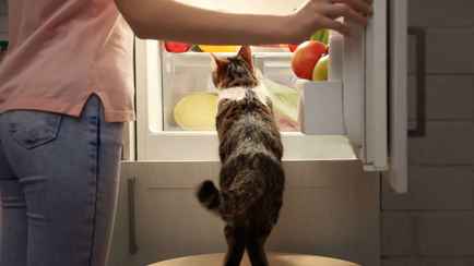 Не только чеснок и лимон. Какие 5 продуктов необходимо есть осенью каждому белорусу?