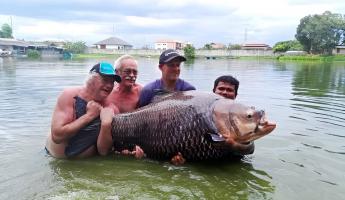 Четыре рыбака поймали 114-килограмового карпа. Что с ним сделали?