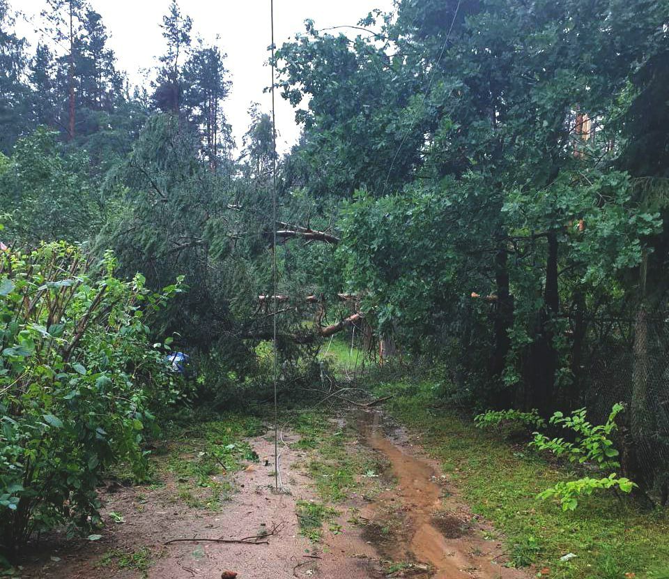 "А сейчас как? Все устраивает?" — Белорусы поделились фото и видео последствий шторма. Сотни населенных пунктов остались без света