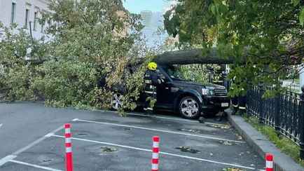 В МЧС подсчитали, сколько автомобилей пострадало в Беларуси из-за шторма 7 октября