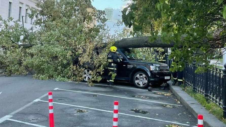 В МЧС подсчитали, сколько автомобилей пострадало в Беларуси из-за шторма 7 октября