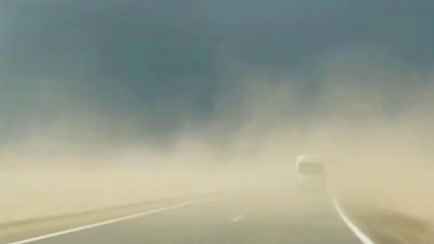 «А сейчас как? Все устраивает?» — Белорусы поделились фото и видео последствий шторма. Сотни населенных пунктов остались без света