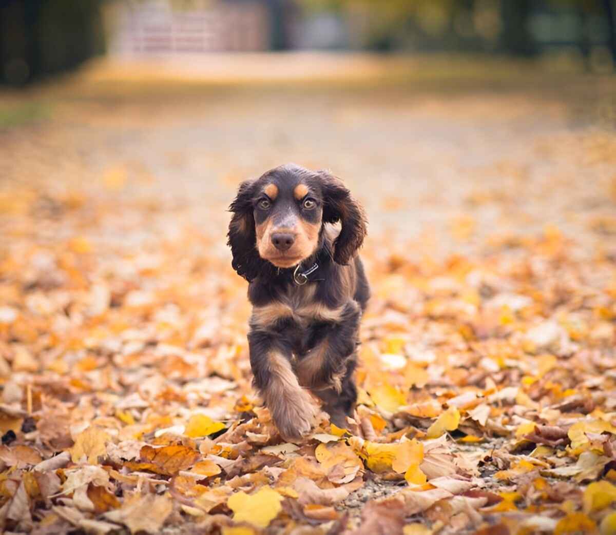 В Беларуси снова оранжевый уровень опасности. А где ждать до +15°C с 22 по 24 октября?