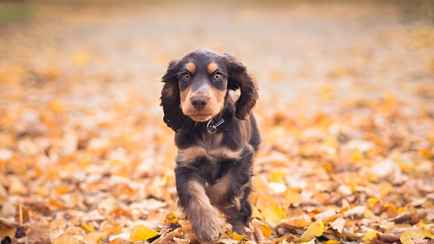 В Беларуси снова оранжевый уровень опасности. А где ждать до +15°C с 22 по 24 октября?
