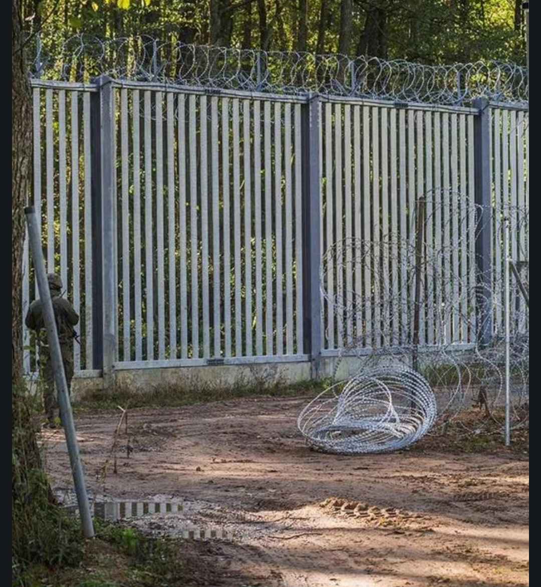 Пробрались 30 тыс нелегалов. Польша начала строить вторую рядом с "дырявой" стеной на границе Беларуси. Какую?