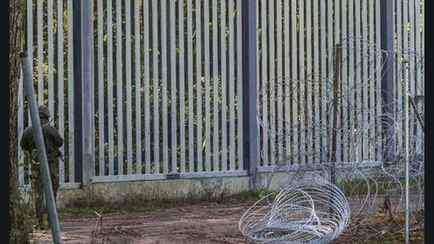 Пробрались 30 тыс нелегалов. Польша начала строить вторую рядом с «дырявой» стеной на границе Беларуси. Какую?