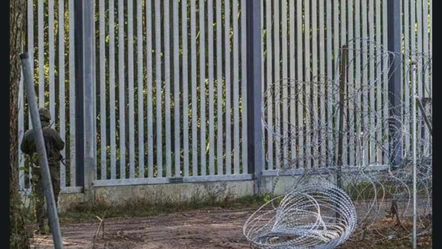 Пробрались 30 тыс нелегалов. Польша начала строить вторую рядом с "дырявой" стеной на границе Беларуси. Какую?