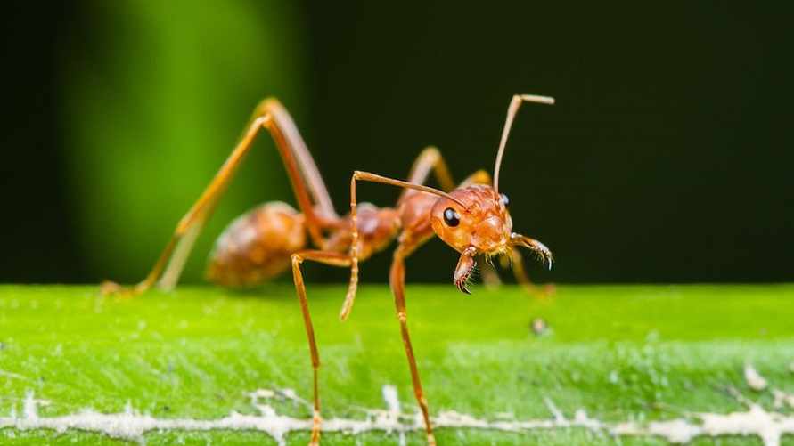 Фото иллюстрационное