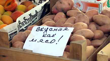 Как белорусам выбрать правильную картошку? Разобрались, какие сорта не развариваются, а какие лучше хранятся