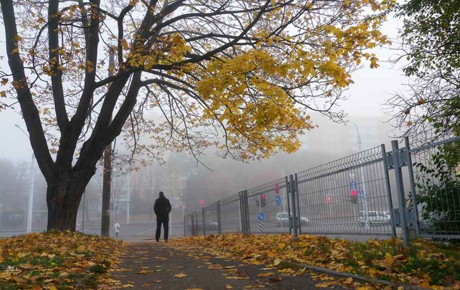 Фото иллюстрационное: onliner.by