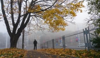 «Вернемся на месяц назад» — Синоптики пообещали белорусам сырое и туманное начало ноября. Когда потеплеет до +20°С?