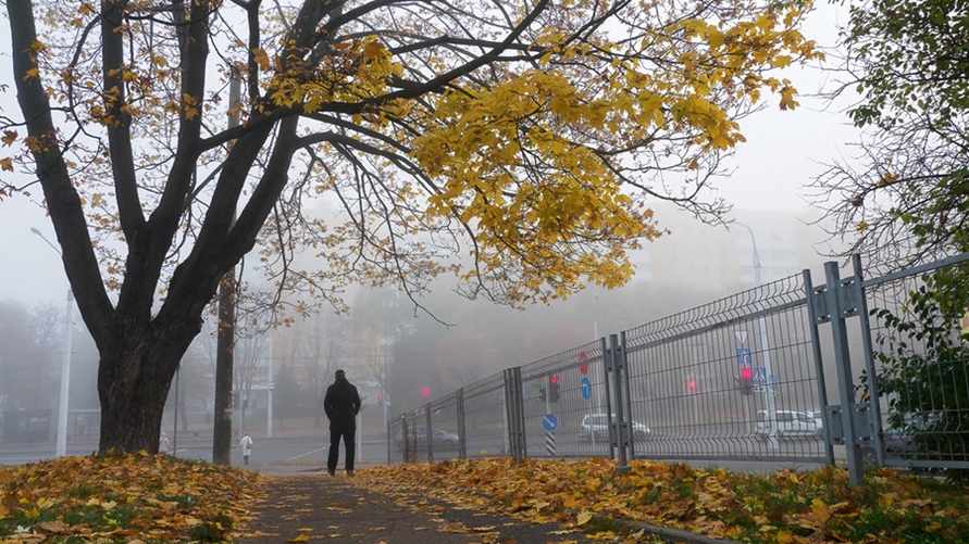 Фото иллюстрационное: onliner.by