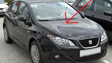 Зачем каждому водителю стучать по капоту перед поездкой? Обязательно осенью и зимой