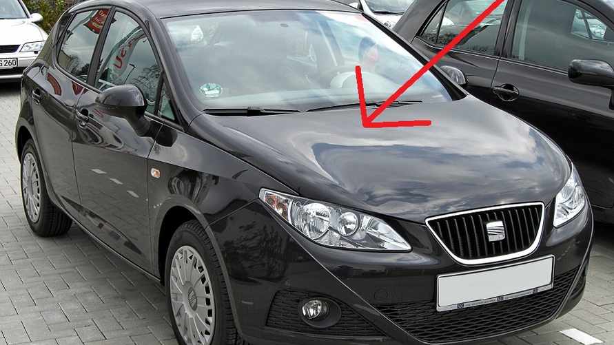 Зачем каждому водителю стучать по капоту перед поездкой? Обязательно осенью и зимой