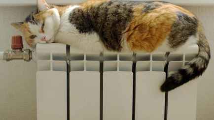 «Побъём рекорд в этом году?» — Энергетики Минска рассказали, когда обычно включают отопление