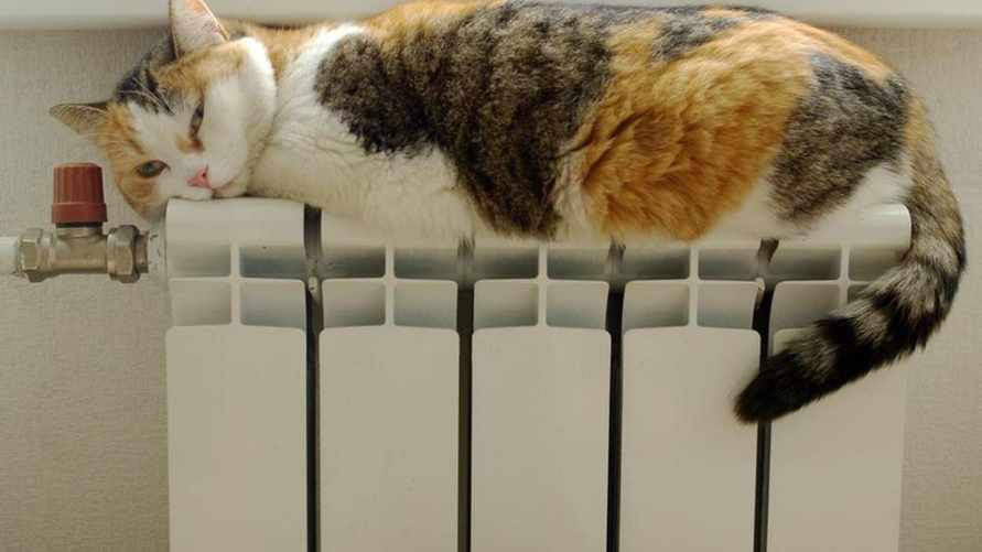 Фото иллюстрационное