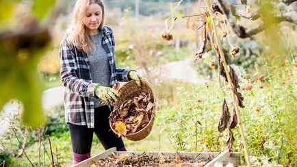 Что нужно сделать каждому на огороде в октябре? Эксперт назвал 3 вещи, о которых многие забывают
