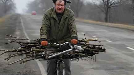Природоохрана объяснила, могут ли белорусы бесплатно набрать дров в лесу. А кому пригрозила штрафом в 1110 рублей?