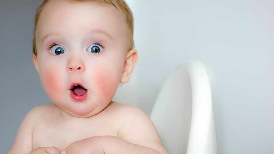 Россельхознадзор заявил, что нашел антибиотики для кроликов в белорусских детских консервах