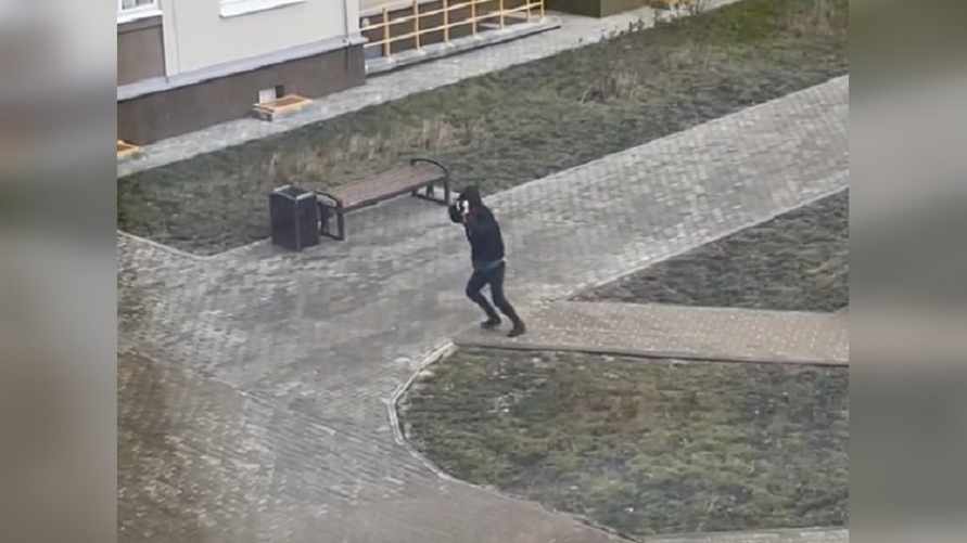 Фото: скриншот видео