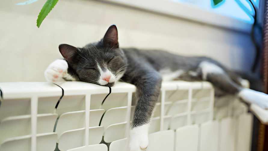 Как проверить есть ли воздух в батарее? Вот, что нужно сделать в начале отопительного сезона