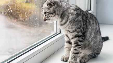 «Самый неприятный период» — Синоптики рассказали, каким будет ноябрь в Беларуси