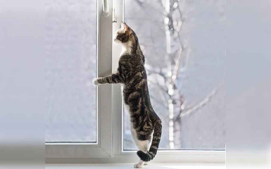 Фото иллюстрационное