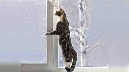 Как правильно проветривать квартиру, чтобы меньше платить за отопление? Рассказали в Брестском ЖКХ