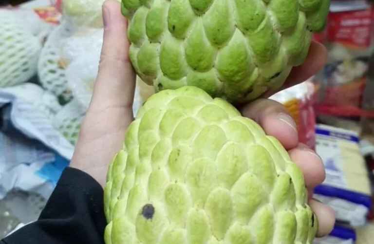 Фото: агентство "Минск-Новости"