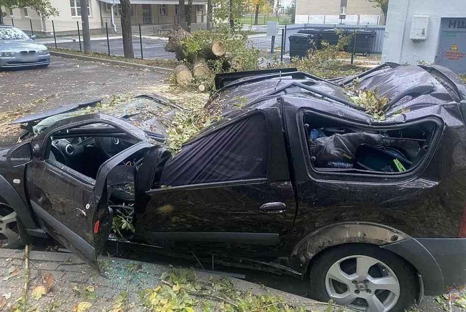 Фото иллюстрационное: МЧС РБ