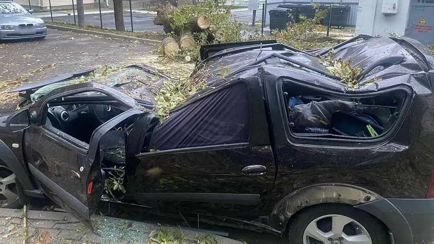 Фото иллюстрационное: МЧС РБ