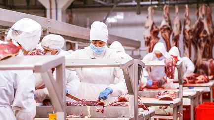 Россельхознадзор запретил ввоз мясной продукции двух белорусских предприятий. Из-за чего?