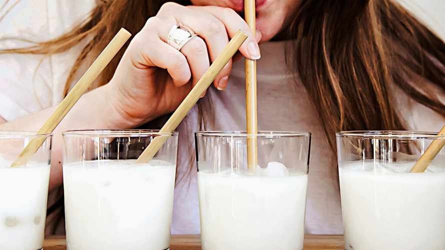 Стоит ли белорусам переходить с коровьего на растительное "молоко" или это "чушь собачья"? Разобрались, что говорят ученые