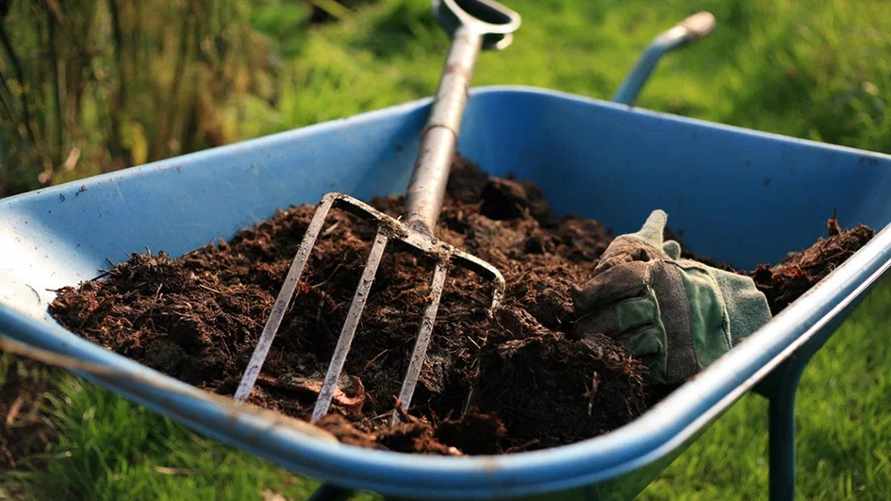 Это бесплатное удобрение для огорода нужно сделать еще осенью. Займет всего 5 минут