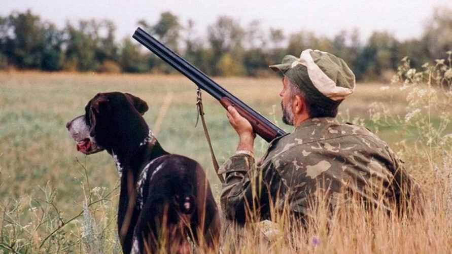 Фото иллюстрационное