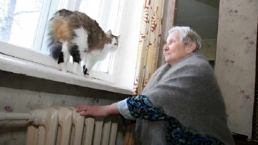 Фото иллюстрационное