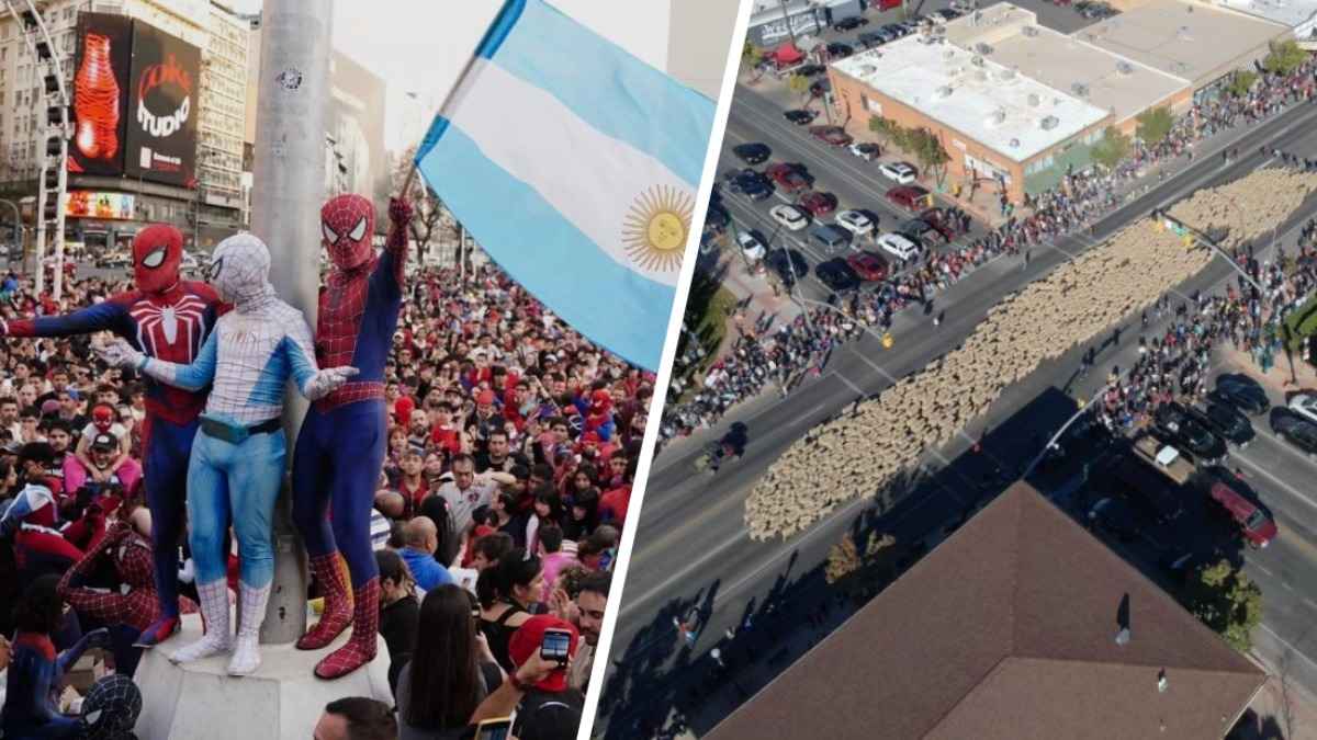 В Аргентине 1000 людей вышли на улицы в костюмах Человека-паука. А в США прошел парад 1000 овец. Зачем?