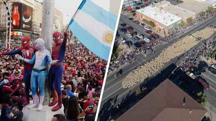 В Аргентине 1000 людей вышли на улицы в костюмах Человека-паука. А в США прошел парад 1000 овец. Зачем?