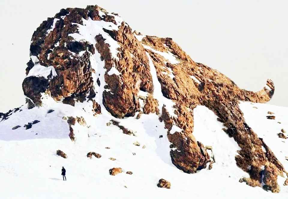 Этот тест раскроет всю правду о вас. Что первым увидели на картинке?