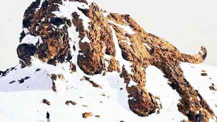 Этот тест раскроет всю правду о вас. Что первым увидели на картинке?