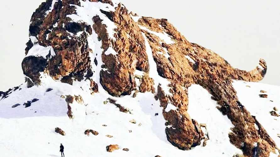 Этот тест раскроет всю правду о вас. Что первым увидели на картинке?