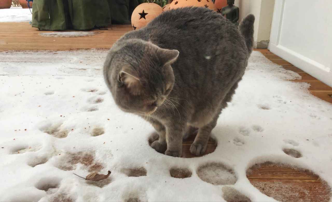 Где в Беларуси на выходных ждать мокрый снег? Метеорологи пообещали и "апофеоз" ветра