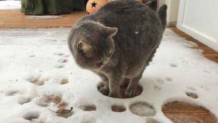 Где в Беларуси на выходных ждать мокрый снег? Метеорологи пообещали и «апофеоз» ветра